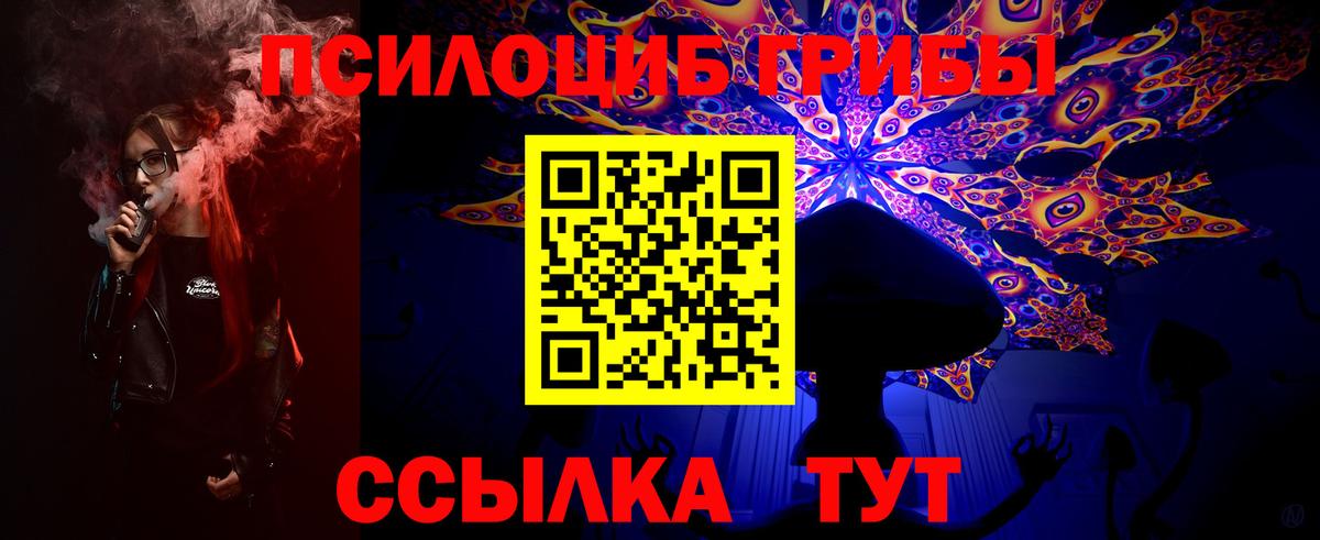 Коммунар  Псилоцибиновые грибы MAGIC MUSHROOMS  Вход с VPN 